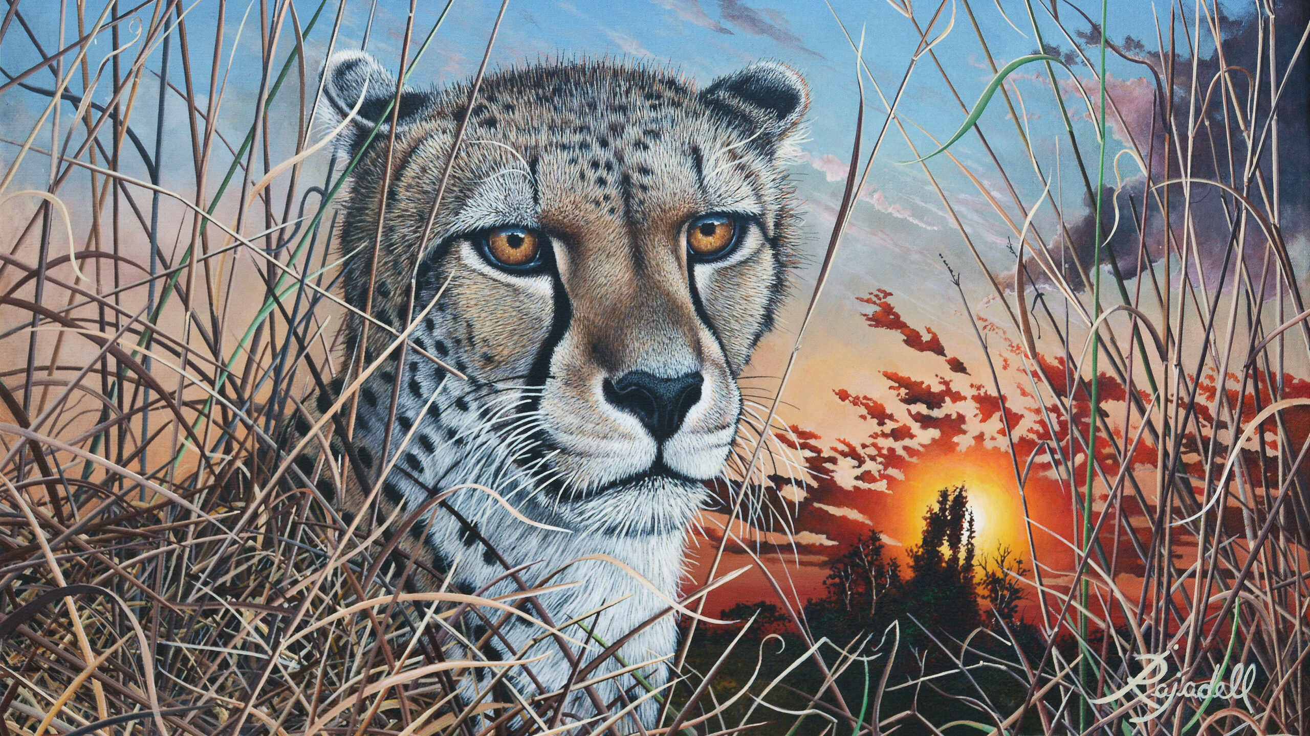 "Cheeta" 50 x 60